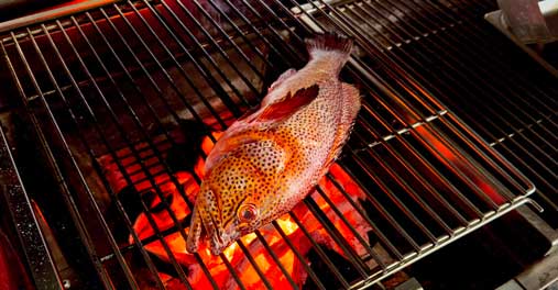 Palm Beach Griglia Brace Top di Gamma Carbone Naturale Cernia