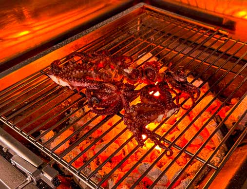 Palm Beach Griglia Brace Top di Gamma Carbone Naturale Polpo