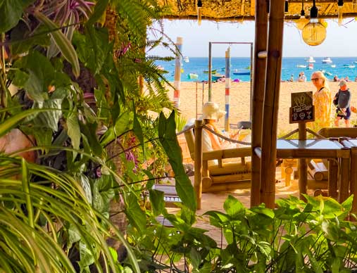 palm beach santa maria sal tropical restaurant detail 4