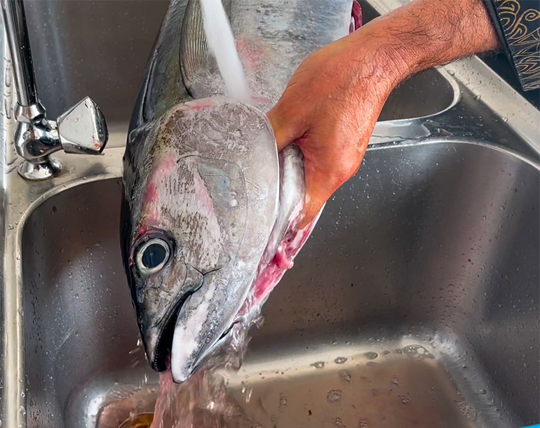 Palm Beach Fresh and Safety Fish