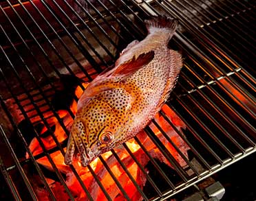 Palm Beach Griglia Brace Top di Gamma Carbone Naturale Cernia