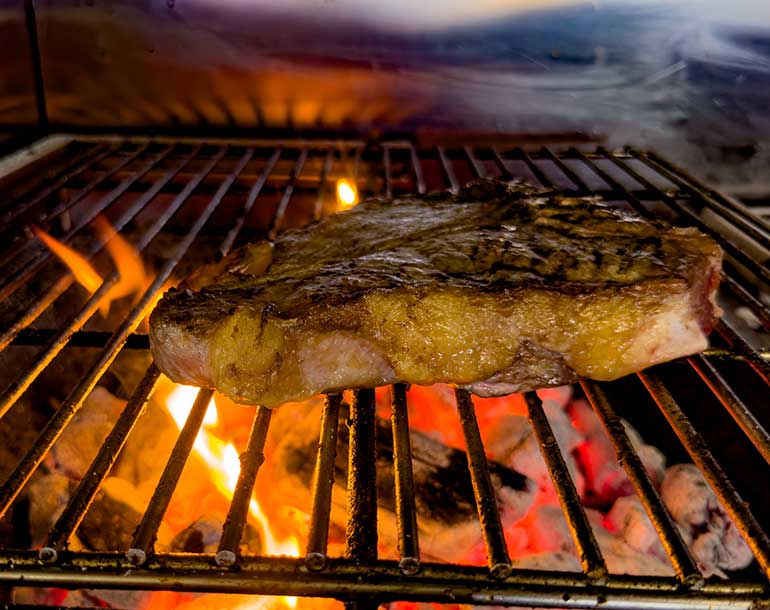 Palm Beach Griglia Brace Top di Gamma Cibo Dopaminergico