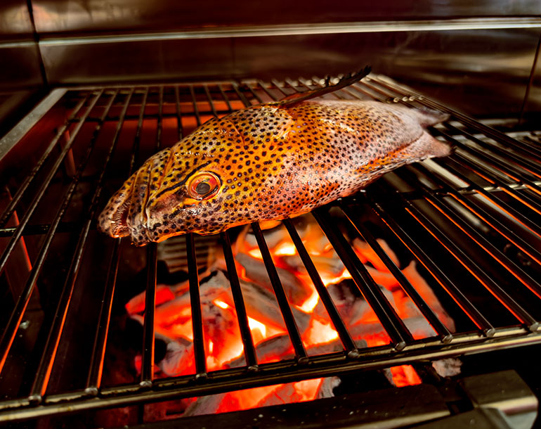 Palm Beach Griglia Carbone Naturale