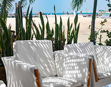 palm beach santa maria sal cape verde lounge adults only armchairs the palms area