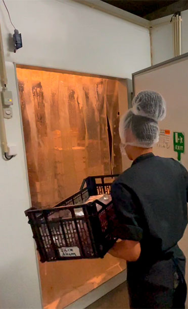 palm beach santa maria sal metodi sicurezza methods safety metodos seguranca cold chain 2