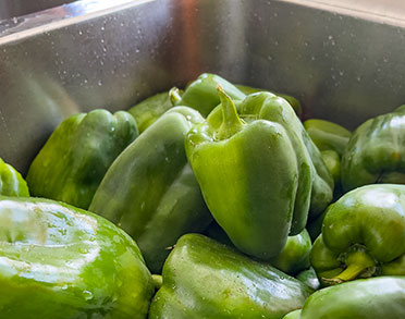 palm beach santa maria sal metodi sicurezza methods safety metodos seguranca vegetables sanitizing