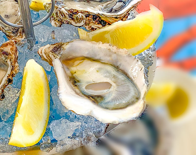 palm beach santa maria sal prodotti products produtos oysters