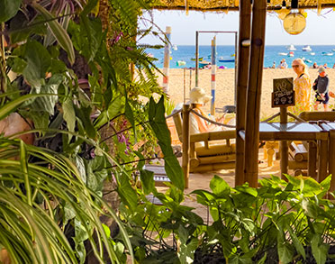 palm beach santa maria sal tropical restaurant detail 4