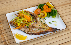 Palm Beach Tropical Restaurant Santa Maria Sal Cape Verde Tasting Menu 