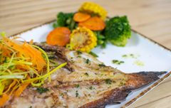 Palm Beach Tropical Restaurant Santa Maria Sal Cape Verde Tasting Menu 