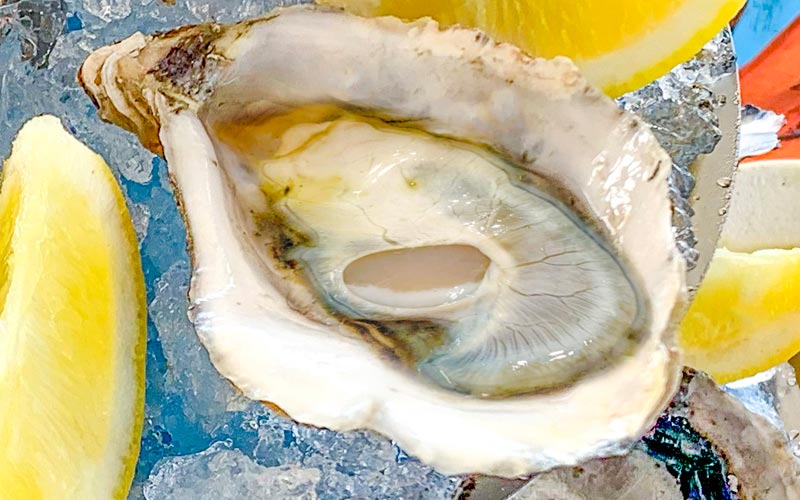 PalmBeach Tropical Restaurant | Ostrica concava della Bretagna calibro 2 | rinomata ostrica (crassostrea gigas) di grandi dimensioni (86/120g), prodotta con metodi totalmente naturali nei parchi marini della bretagna, in francia